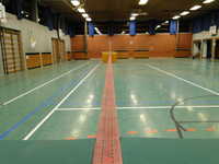  DSC03338.JPG 